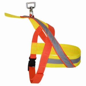 Rudemeister Tracking Harness