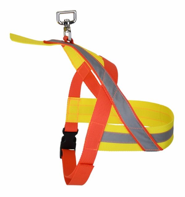 Rudemeister Tracking Harness
