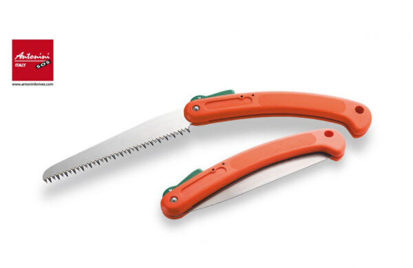 Antonini Apo Saw