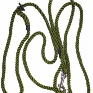 Bisley Hunting & Training Lead