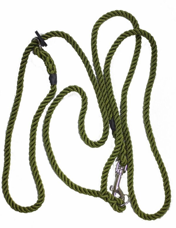 Bisley Hunting & Training Lead