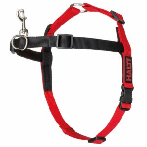 Halti Front Control Dog Training Harness