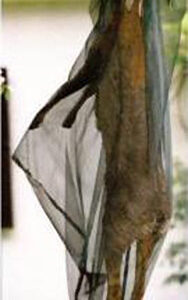 Fly Net For Deer