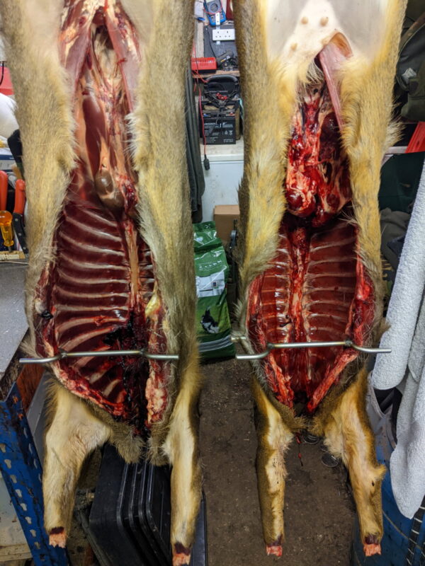 Large And Small Deer Chest Spreaders - Image 2